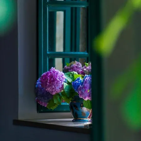 Unique Center 公寓 察夫塔特