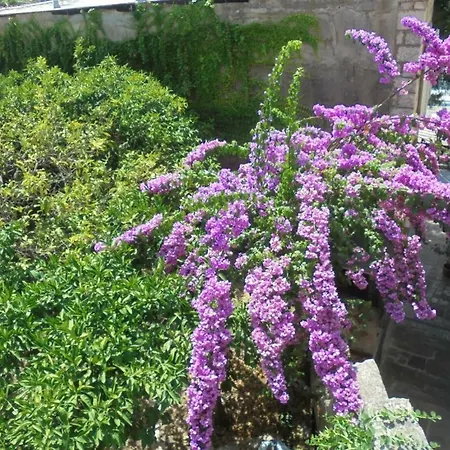 Unique Center 察夫塔特