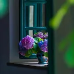 Unique Center Apartmán Cavtat